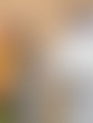 Msheireb Museums Shares Decade of Heritage Innovation at ICOM Dubai 2025