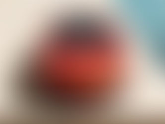 FERRARI AMALFI SPIDER