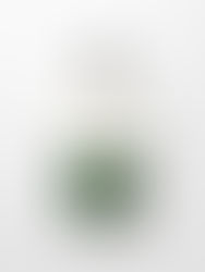 Dries Van Noten’s Verdant Elegance With' Santal Greenery'