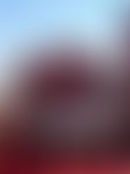 Qatar Polo Club Celebrates Qatar National Sport Day with a Polo Showcase at Katara and Stadium 974