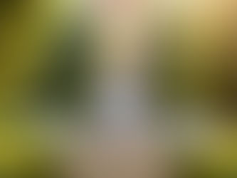 ZULAL WELLNESS RESORT PARTNERS WITH QATAR AIRWAYS PRIVILEGE CLUB TO OFFER EXCLUSIVE REWARDS WITH CARD-LINKED OFFERS.