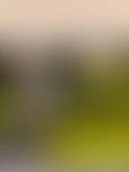 Step into the future as TheArsenale opens fourth location, at the heart of Qatar’s creative hub.