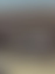 The All-New MG RX9 Premium SUV:A Perfect Blend of Modern Design, Power, and Versatility