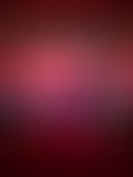 One New Star Shines in the MICHELIN Guide Doha’s Second Edition