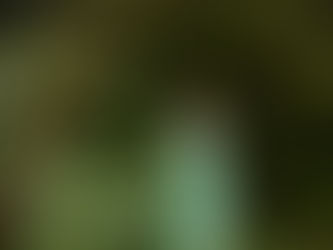 MATCHES LAUNCH EXCLUSIVE CAPSULE WITH KIKA VARGAS