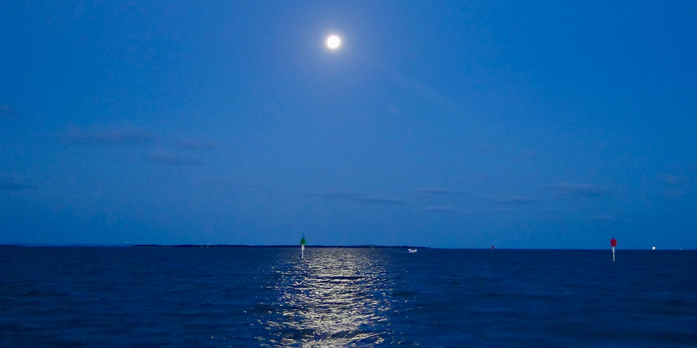 MOONLIGHT Cruise $75