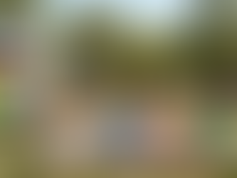 How to Choose the Right Summer Camp for Your Child (And Why It Matters More Than You Think)