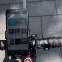 gif 2.gif