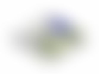 You Don’t Need a Full-Time CFO—Here's What You Actually Need at Each Stage of Growth