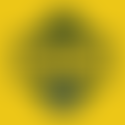 Gridiron Football – Green Bay Announces Inaugural Gridiron Greats Celebrity Flag Football Fundraiser