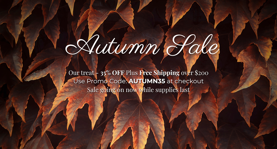 Autumn Sale (1).png