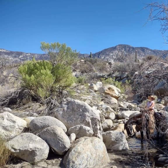 Thumbnail: Madelaine fan e Welle