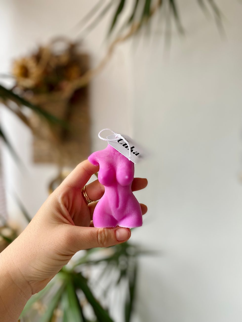 SVIJEĆA GOSPOJA U MAGENTI