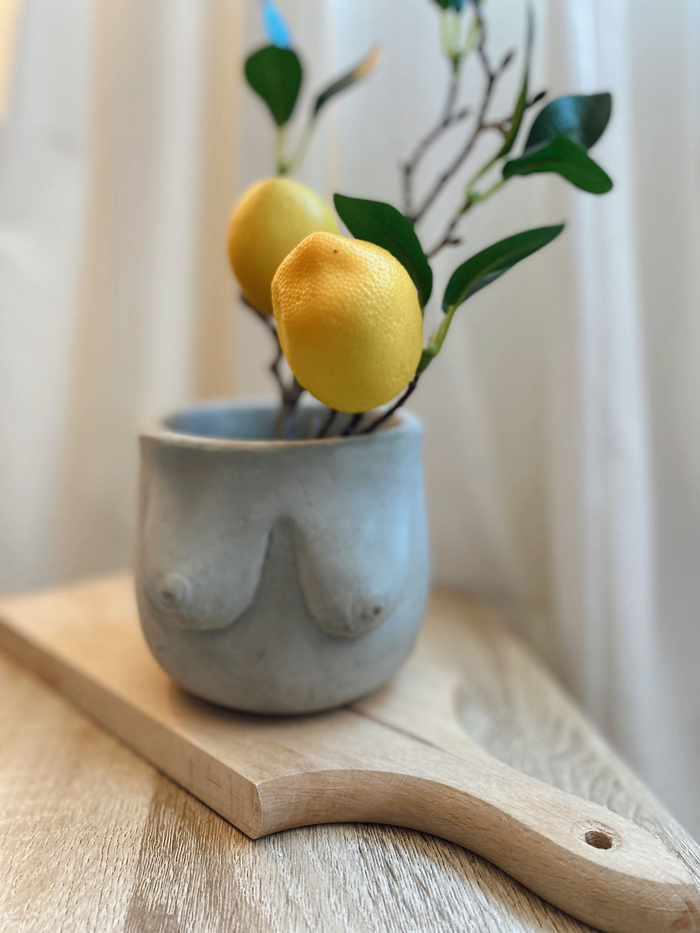 Thumbnail: ‘MUSTRA’ FLOWER POT IN CONCRETE