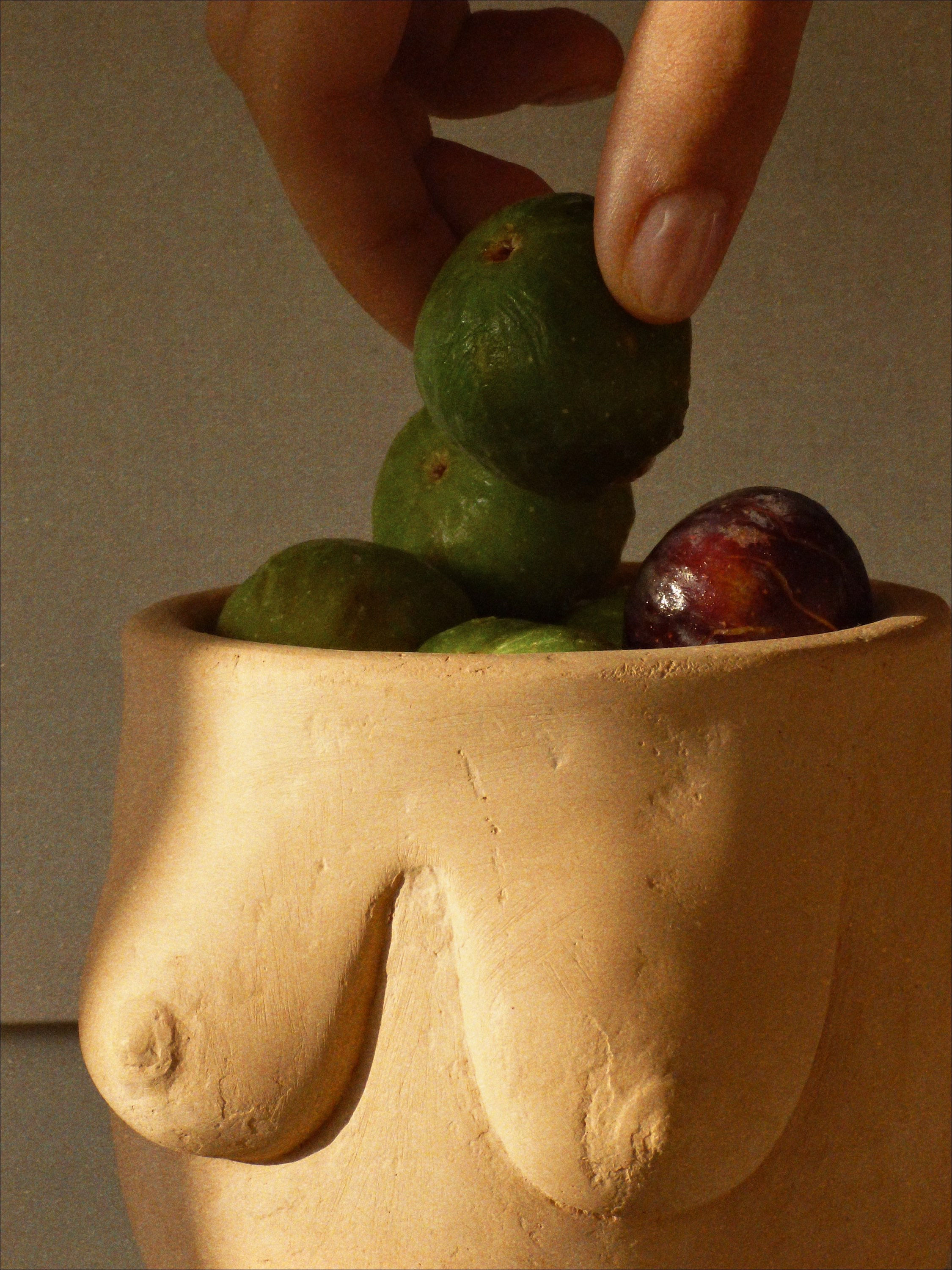 TEGLA ZA BILJKE 'MUSTRA' TERRACOTTA OD EKO MATERIJALA