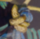 Yellow Knots (detail)