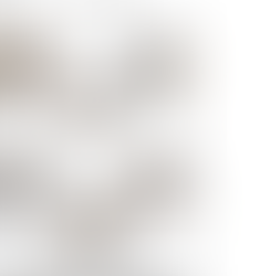 古賀営業所 2021年11月27日