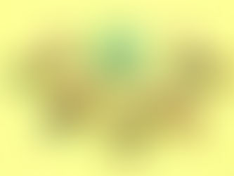 エコドライブのための取り組み4