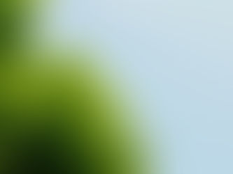 エコドライブのための取り組み2