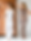 solymar2023-90_edited_edited.png