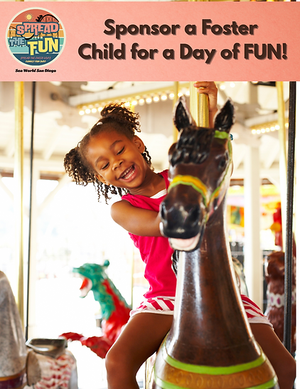 Sponsor a Foster Child for a Day of FUN!.png