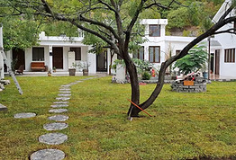 climbing-and-yoga-retreat-el-potrero-chico-mexico-el-cubil-garden.jpg