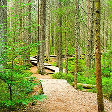 Stress- Burnout-Prävention-der Neue Weg zu sich selbst.