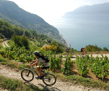 Sortie VTT team building autour du lac