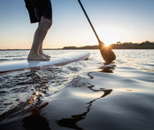 Paddle team building sur le Lac du Bourget