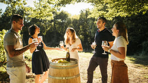 Groupe d’amis participant à une dégustation de vin en pleine nature.