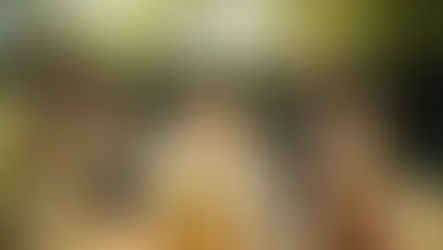 Groupe d’amis participant à une dégustation de vin en pleine nature.