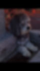 4369EE17-F6D6-42A0-9AC9-97C3619417AA.jpeg