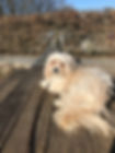 1866514D-728A-4AD1-B0C7-F4BFBA33A833.jpeg