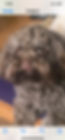 6F7CF0D4-7227-4A0B-8D71-9F1196AEC7FF.jpeg