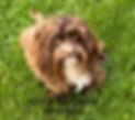 581188B7-886C-4020-B97E-839C8184605E.jpeg