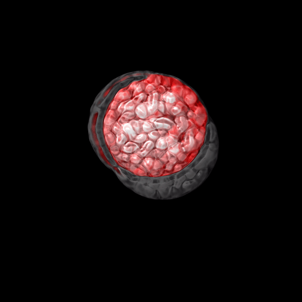ezgif.com-gif-maker (4).gif