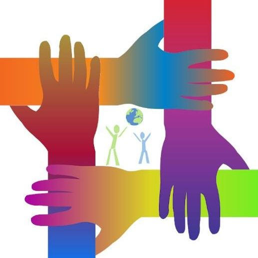 Private School Clearwater Safety Harbor Montessori Academy