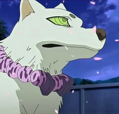 Home Madarao Nekre A Kekkaishi Fansite Home Madarao Nekre A Kekkaishi Fansite