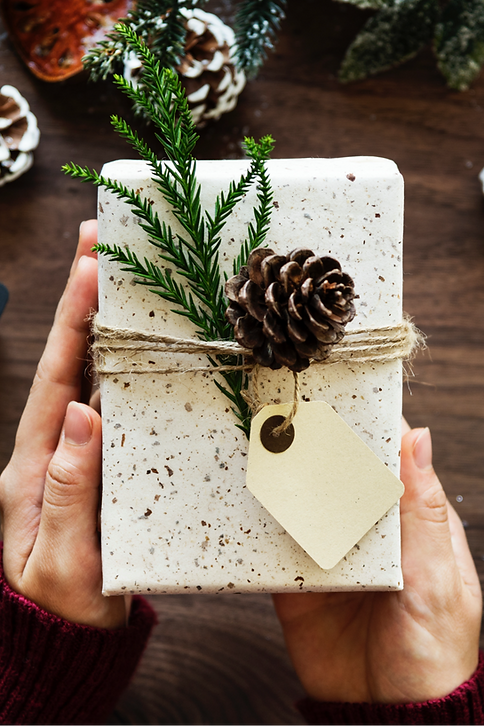 Christmas Gift_edited.png