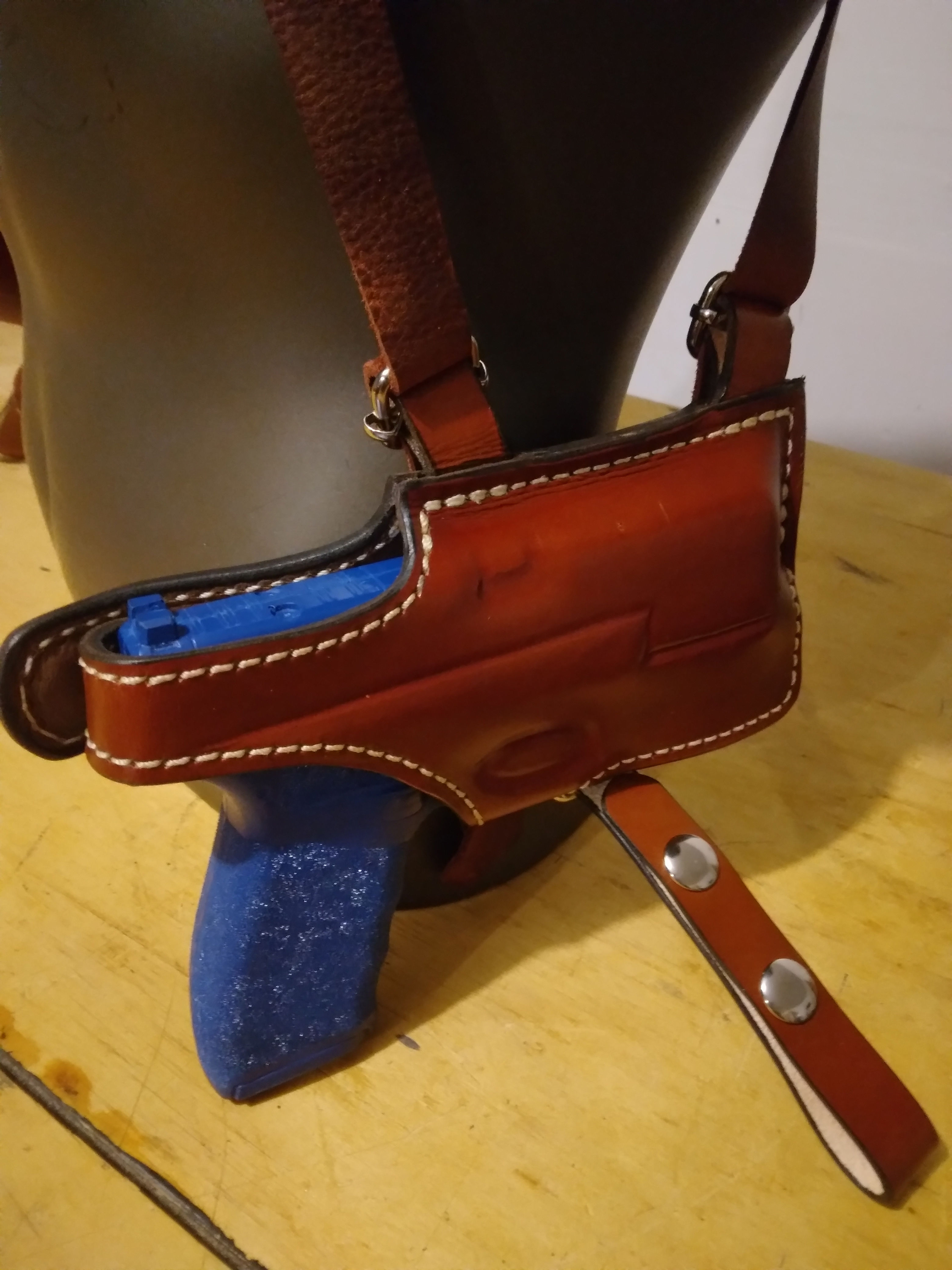 Springfield Hellcat Pro to carry sight/light /laser with 2 pouch mags.