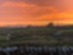 Sunset view from Llwyn Onn