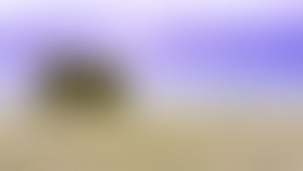 Life behind the lens!