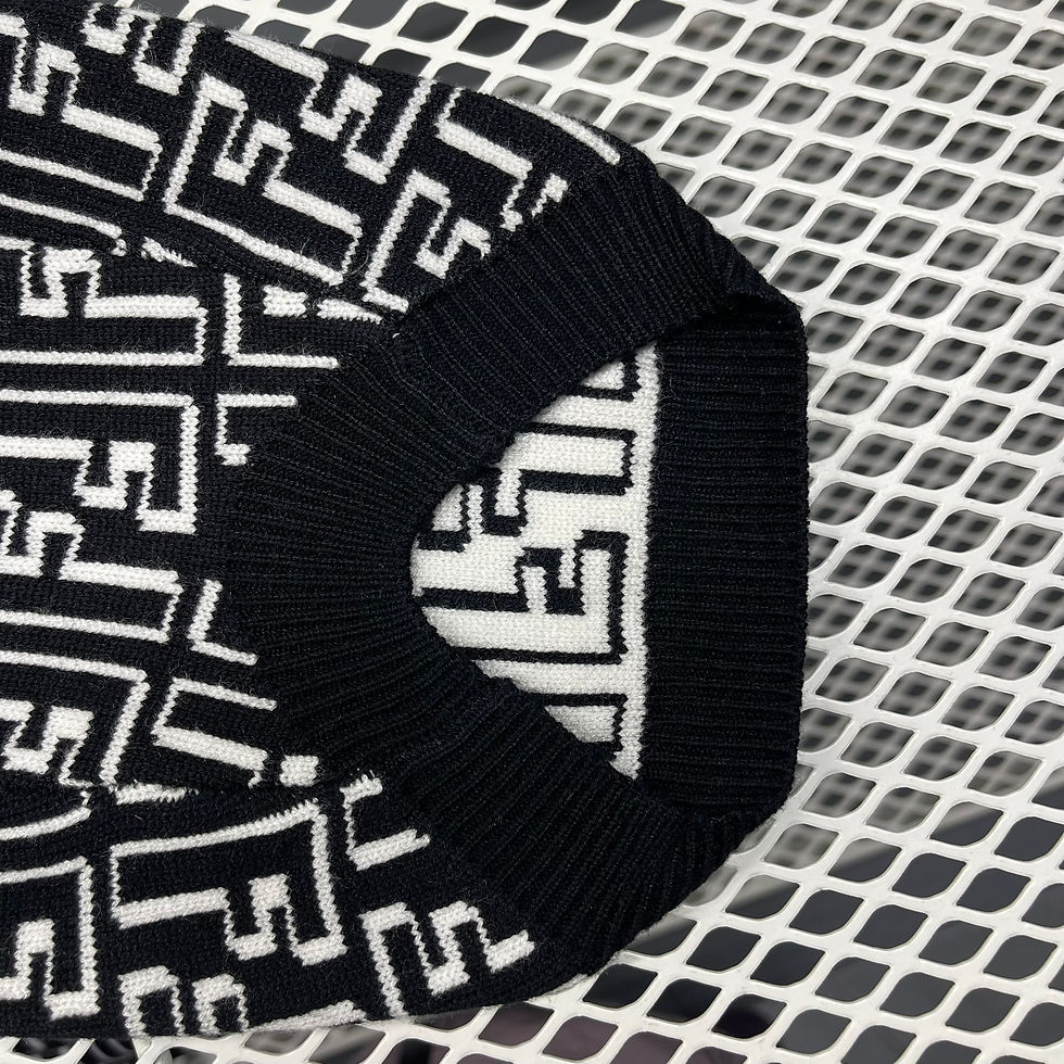 Прев'ю: Светр для собак та котів FENDI чорний