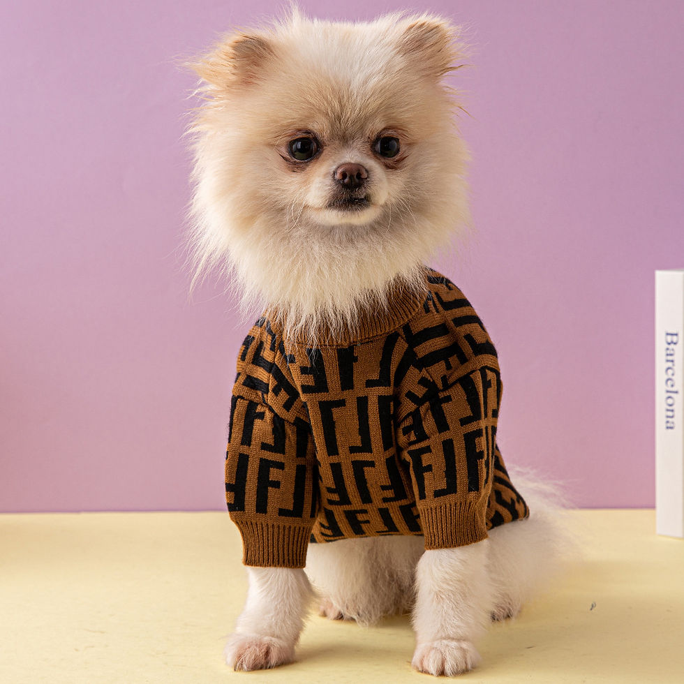 Прев'ю: Светр для собак та котів FENDI  коричневий