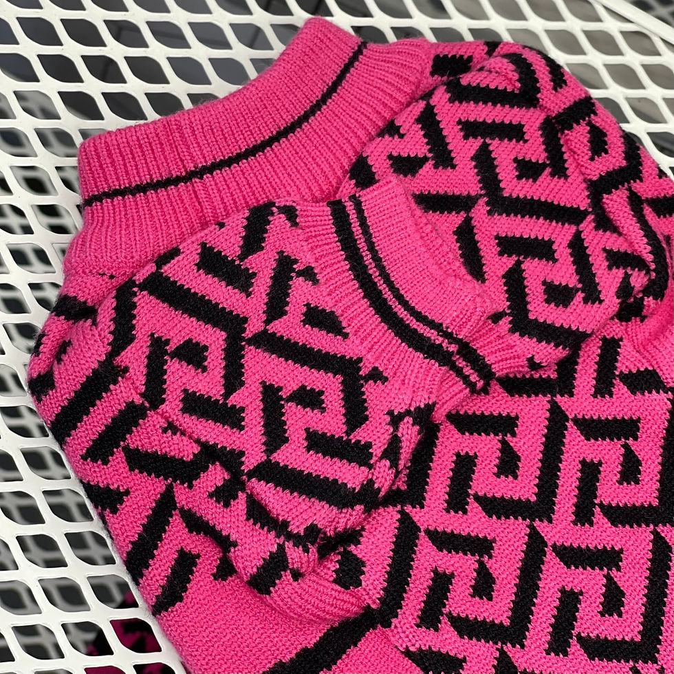 Прев'ю: Светр для собак та котів  VERSACE рожевий