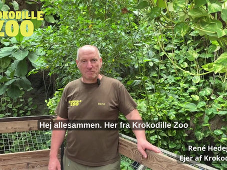 Krokodille Zoo