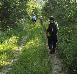 ormanici_yuruyus_Kizilcahamam