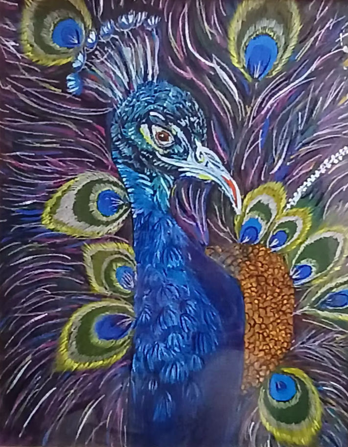 Thumbnail: Shilpa Chola | Majestic Peacock | 16 x 20 in