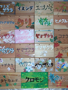 2025麗風会の森　秋の整備活動・樹名板取付・みかん狩りのご報告