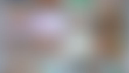 2025麗風会の森　秋の整備活動・樹名板取付・みかん狩りのご報告